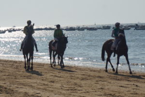 サンルーカルデバラメダのビーチ競馬