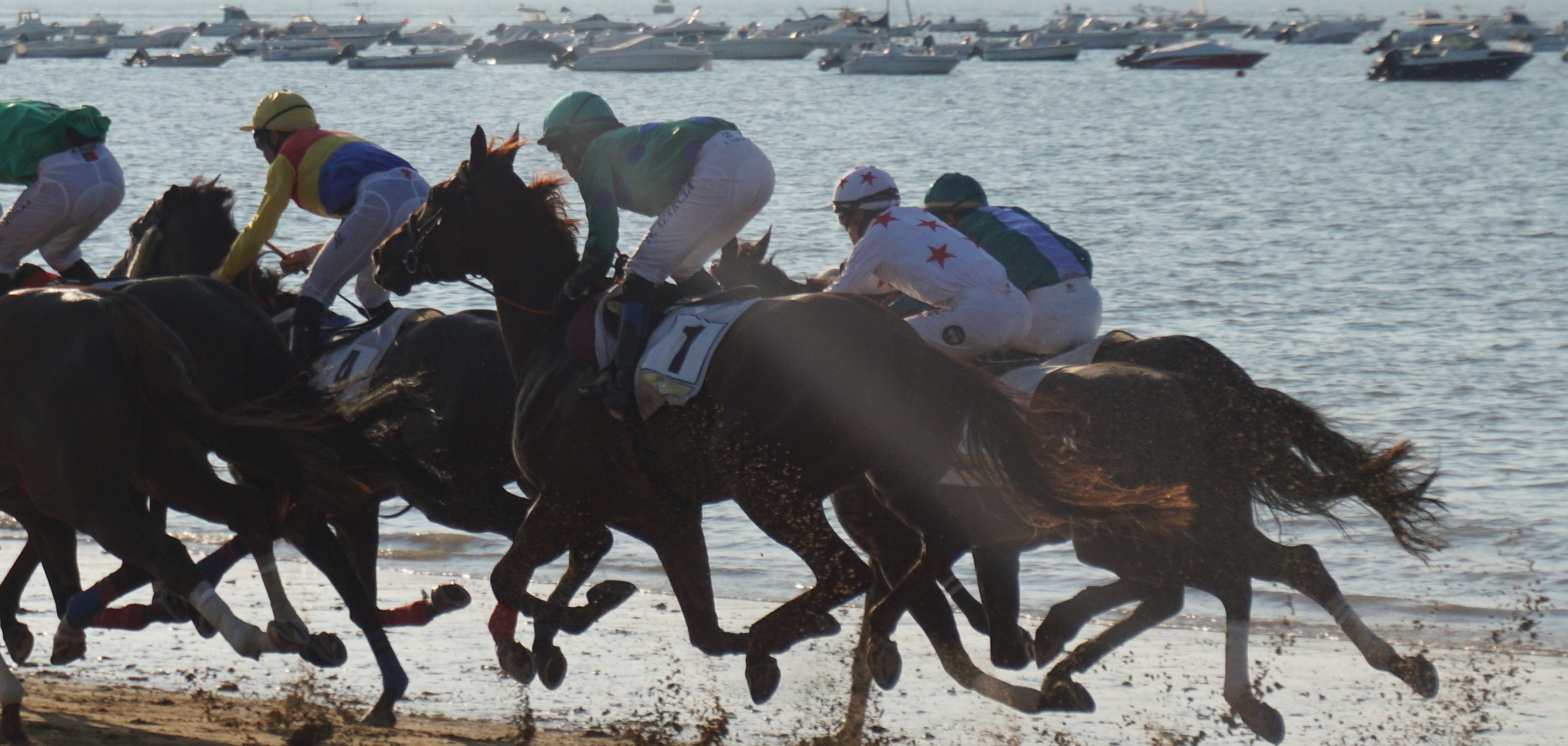 サンルーカルのビーチ競馬とポルトガルとグアダルーペの夏祭り キャンピングカーの旅２０１８年８月